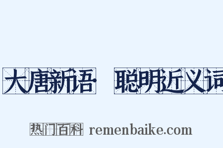 大唐新语·聪明近义词是什么意思的图片